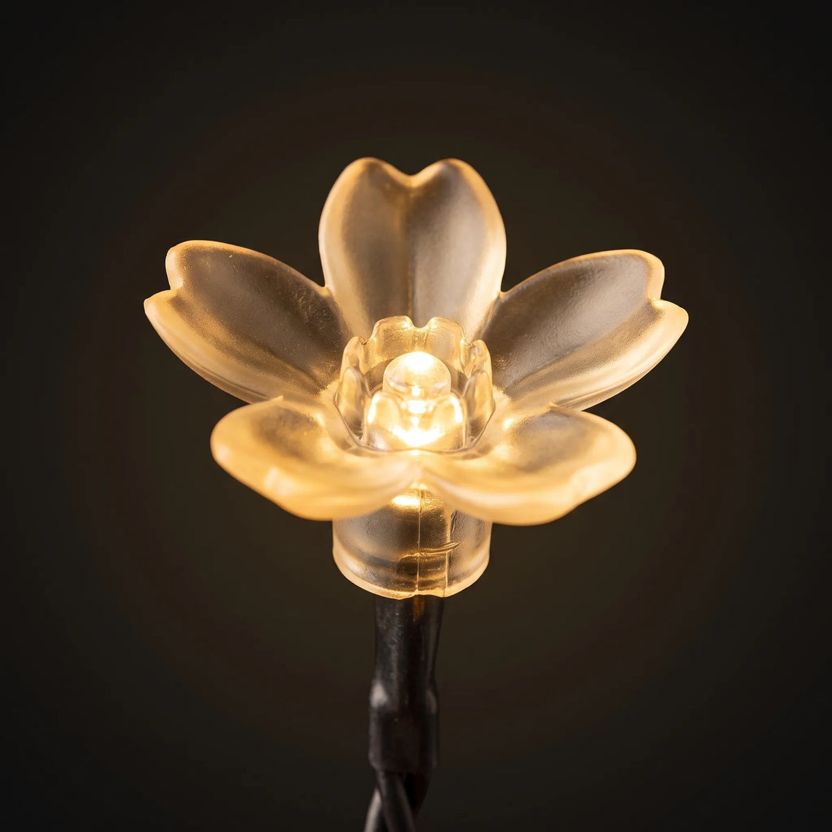 Solar-LED-Blumen-Lichterkette für den Garten für aussen