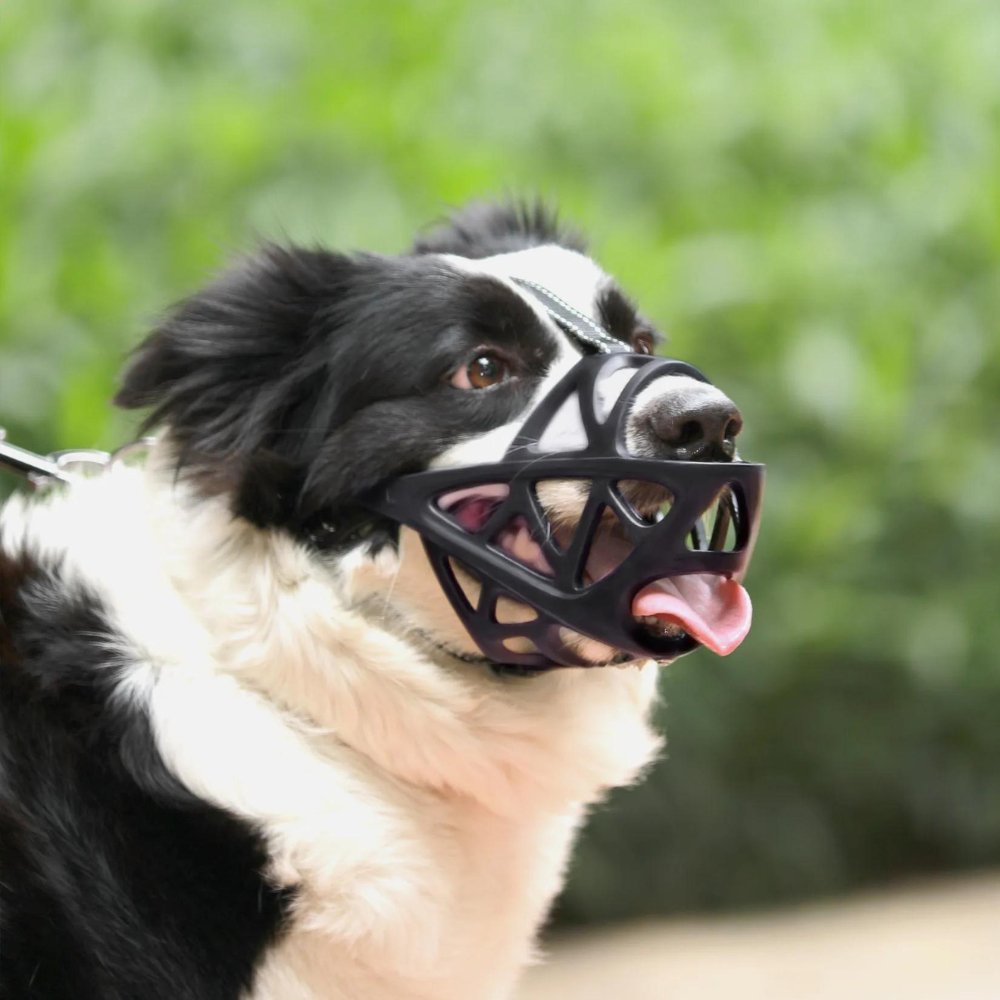 Hundemaulkorb