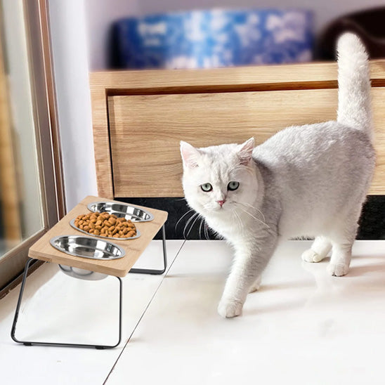 Erhöhter Katzennapf | Bequemes Fressen in erhöhter Position