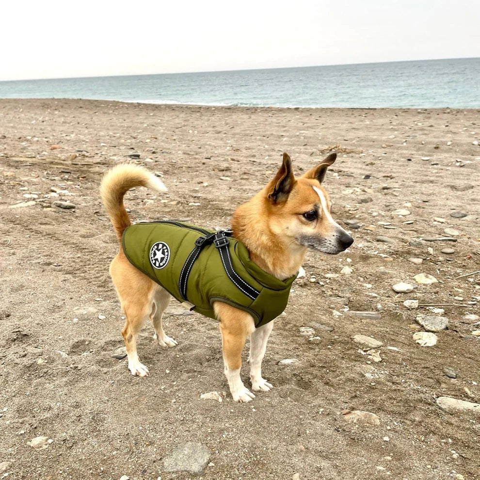 3-in-1 wasserdichte und winddichte Winter-Hundejacke
