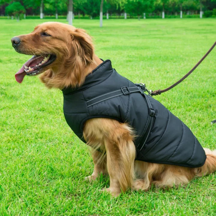 3-in-1 wasserdichte und winddichte Winter-Hundejacke