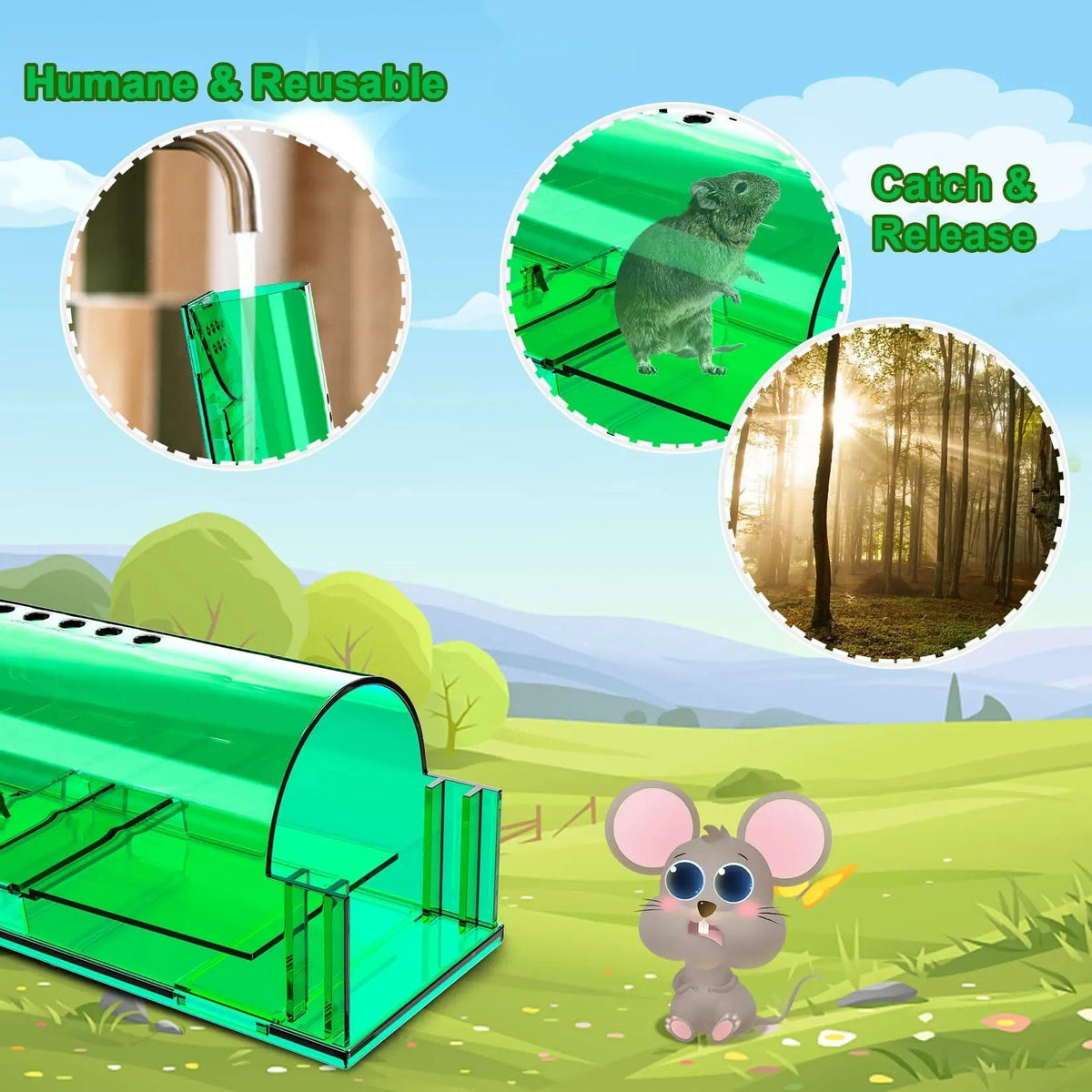 4-teiliges Mausefallen-Set
