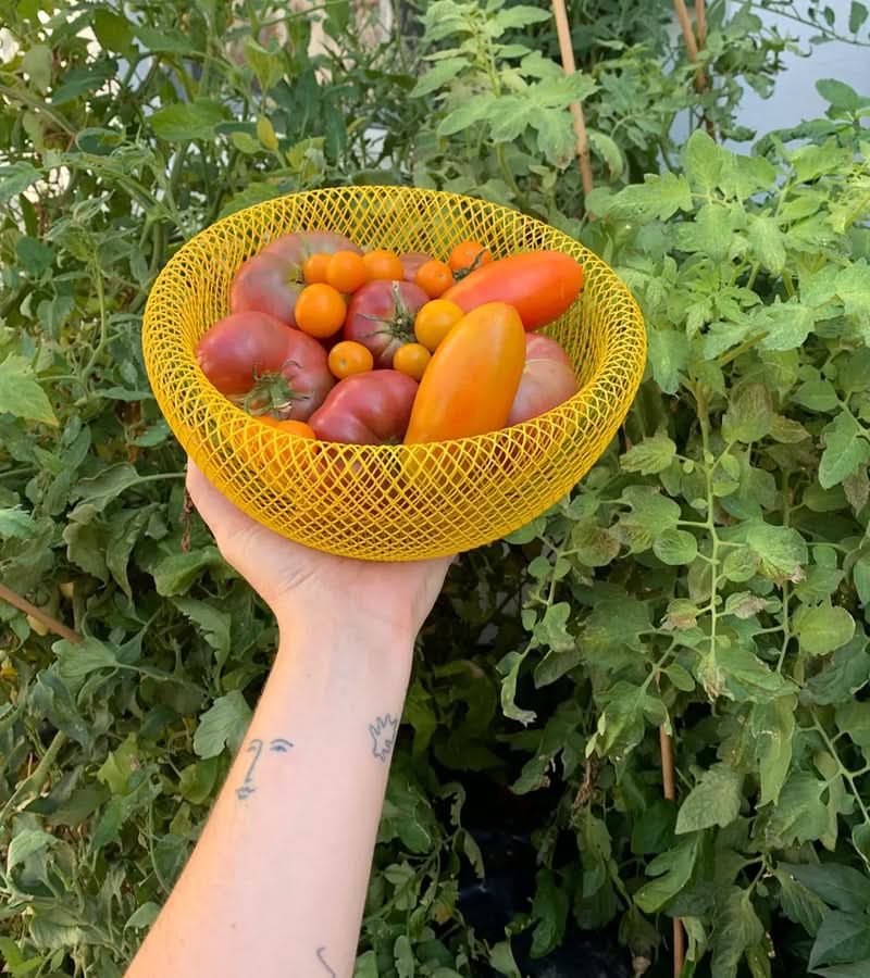 Obstkorb aus Stahlgitter mit Belüftung zum Frischhalten
