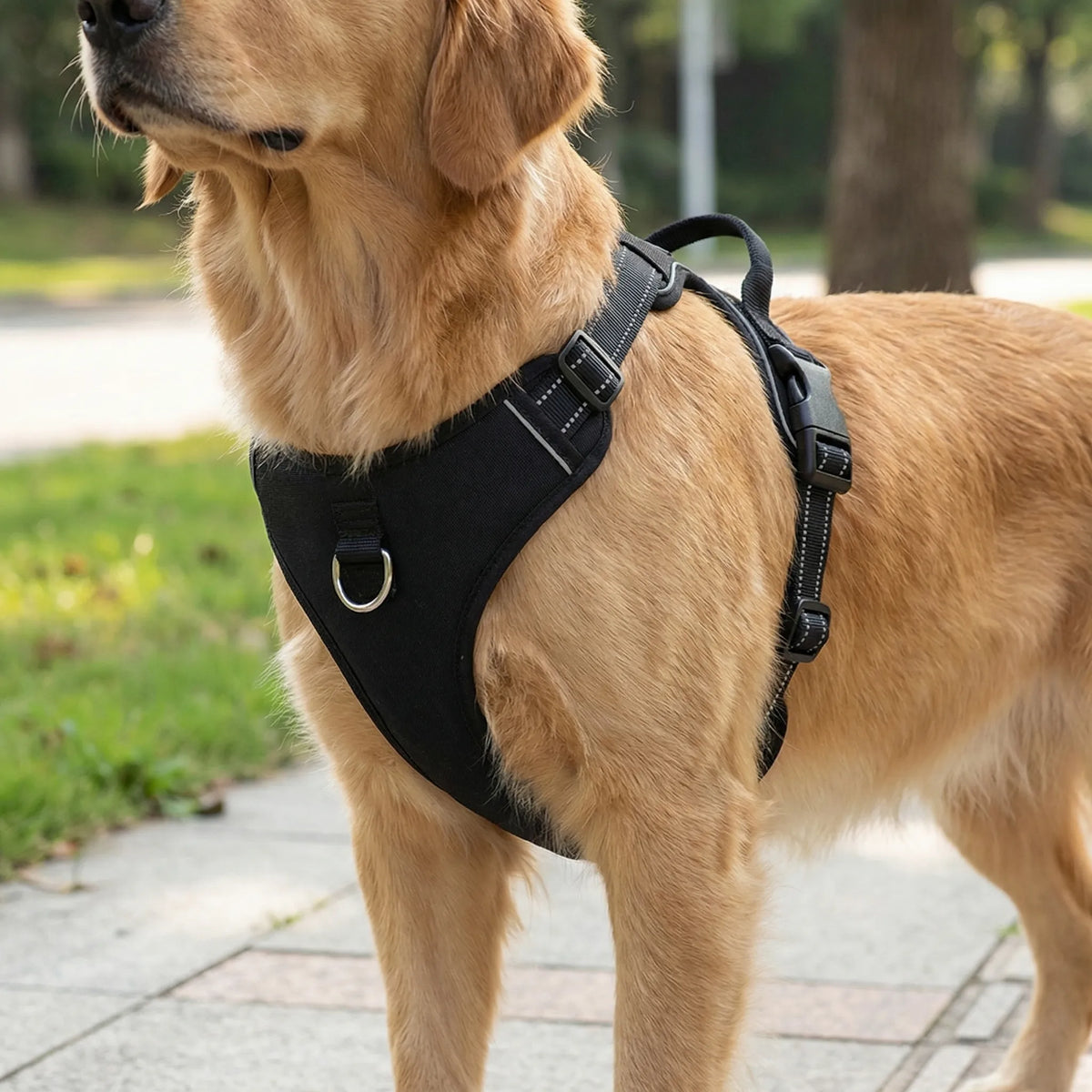Verstellbares Anti-Zug-Brustgeschirr für Hunde