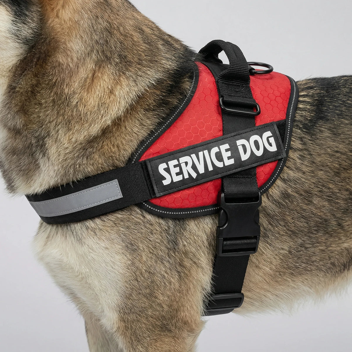 Verstellbares Brustgeschirr Hundegeschirr Weste
