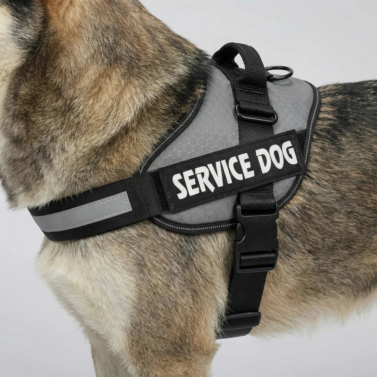 Verstellbares Brustgeschirr Hundegeschirr Weste