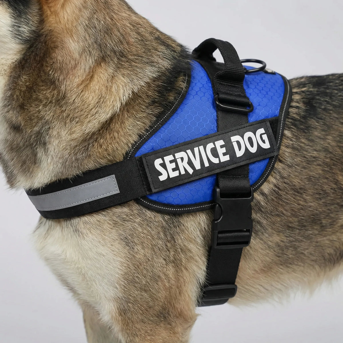 Verstellbares Brustgeschirr Hundegeschirr Weste