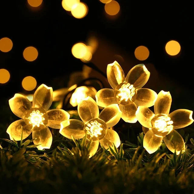 Pfirsichblüten Lichterkette