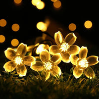 Pfirsichblüten Lichterkette