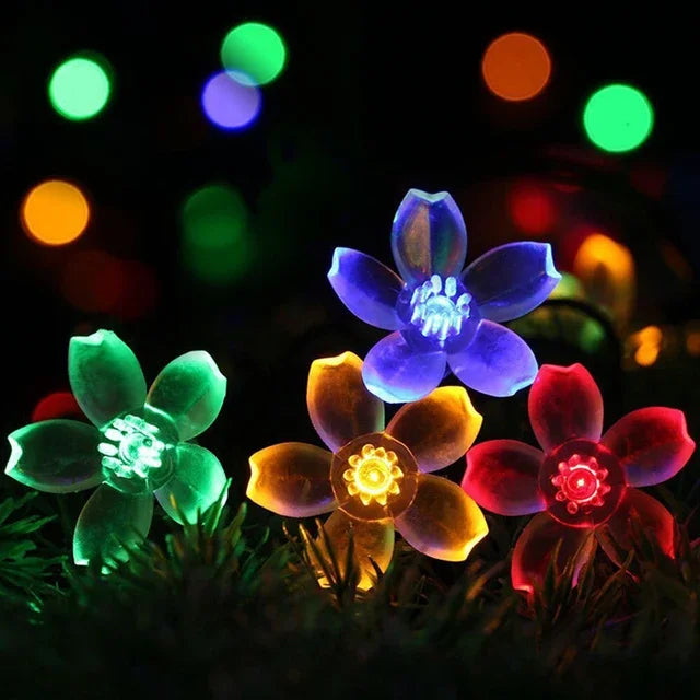 Pfirsichblüten Lichterkette