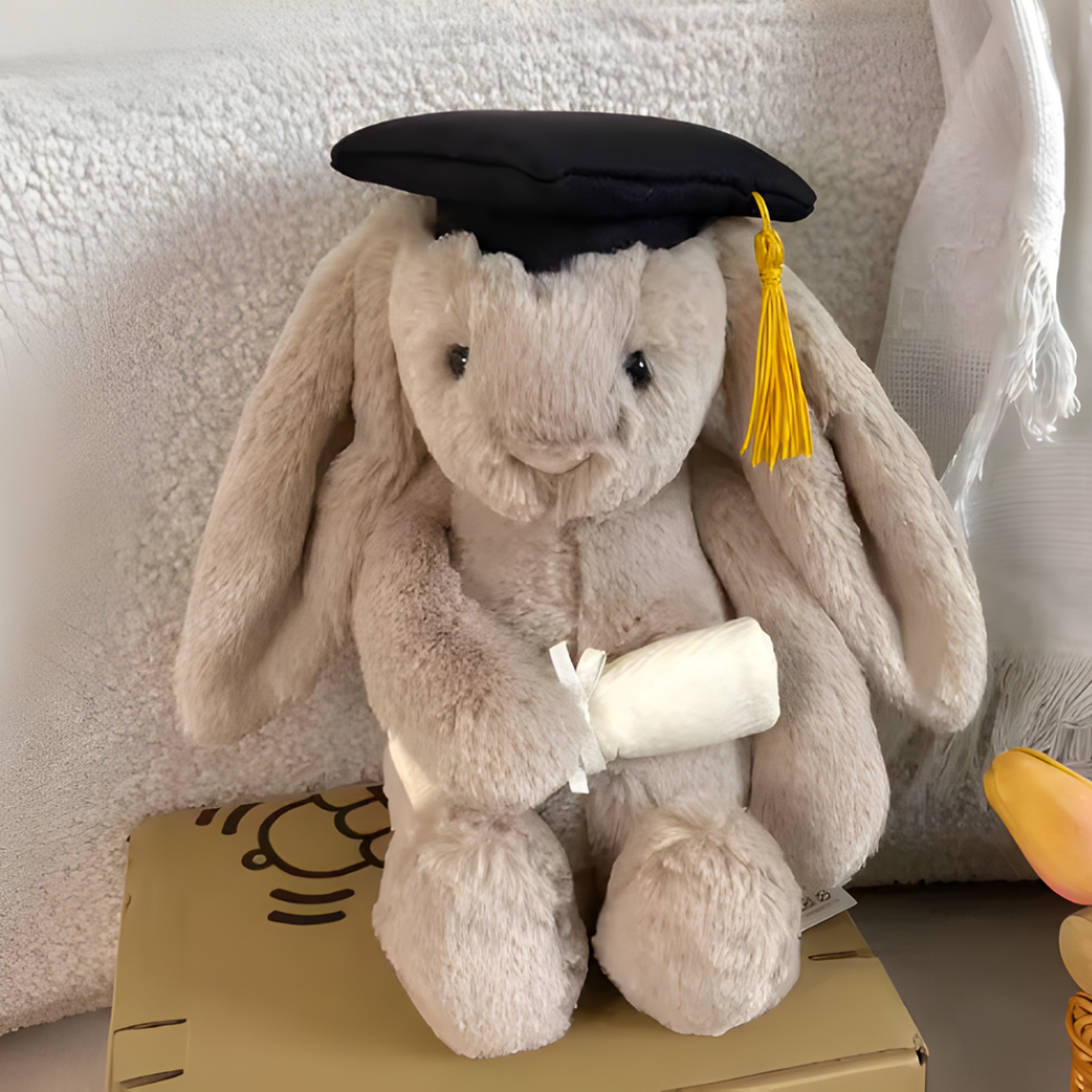 Abschluss-Plüschfigur – weiches Plüsch-Erinnerungsstück – sicher für Kinder ab 6 Jahren – 25 cm