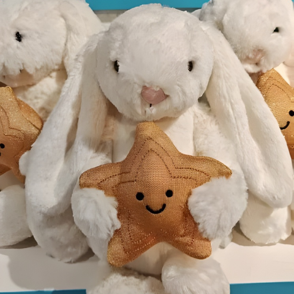 Abschluss-Plüschfigur – weiches Plüsch-Erinnerungsstück – sicher für Kinder ab 6 Jahren – 25 cm
