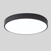 Elegante LED-Deckenlampe im skandinavischen Stil