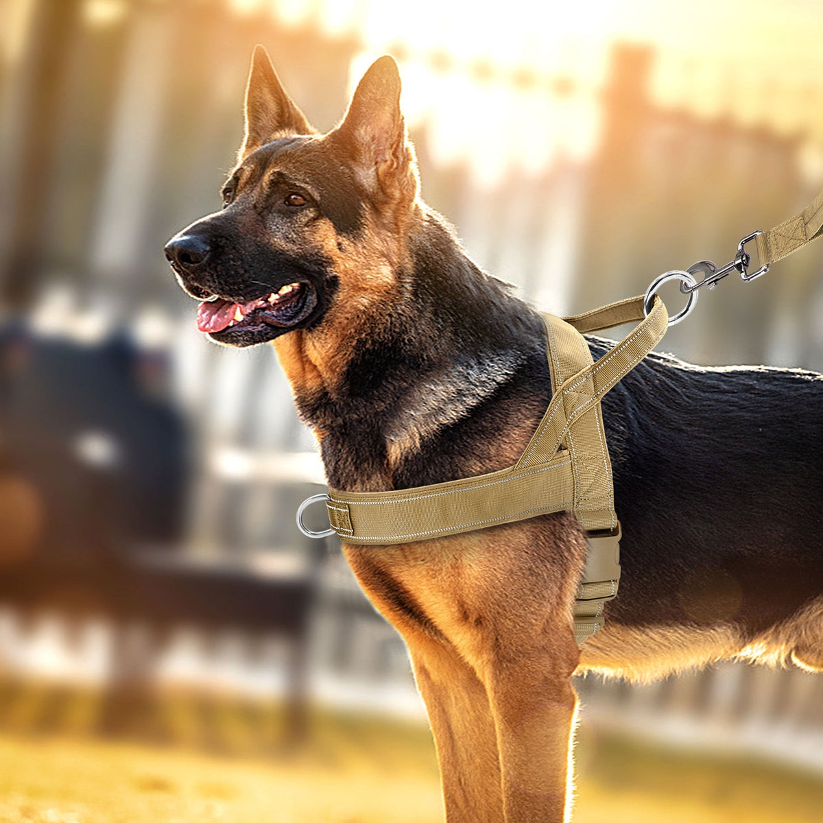 Reflektierendes, zugfreies Hundegeschirr