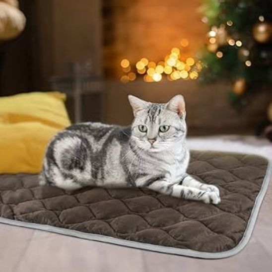 Beheizbare Matte für Katzen