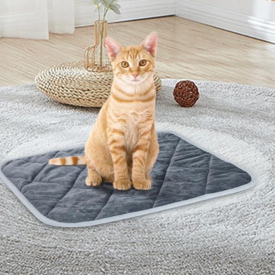 Beheizbare Matte für Katzen