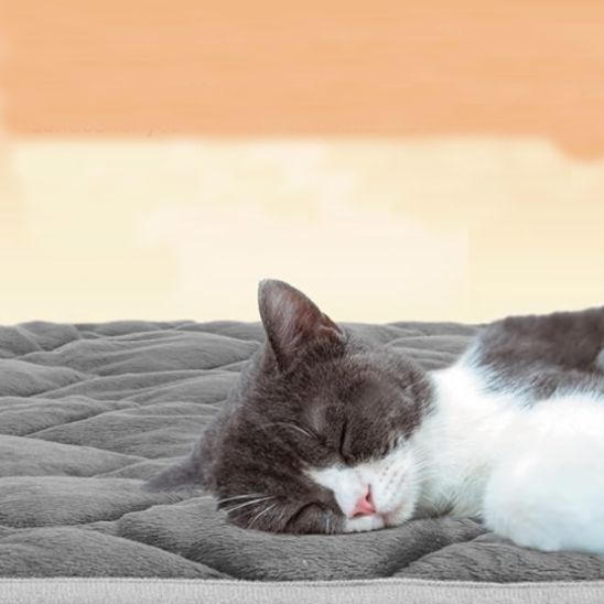 Beheizbare Matte für Katzen