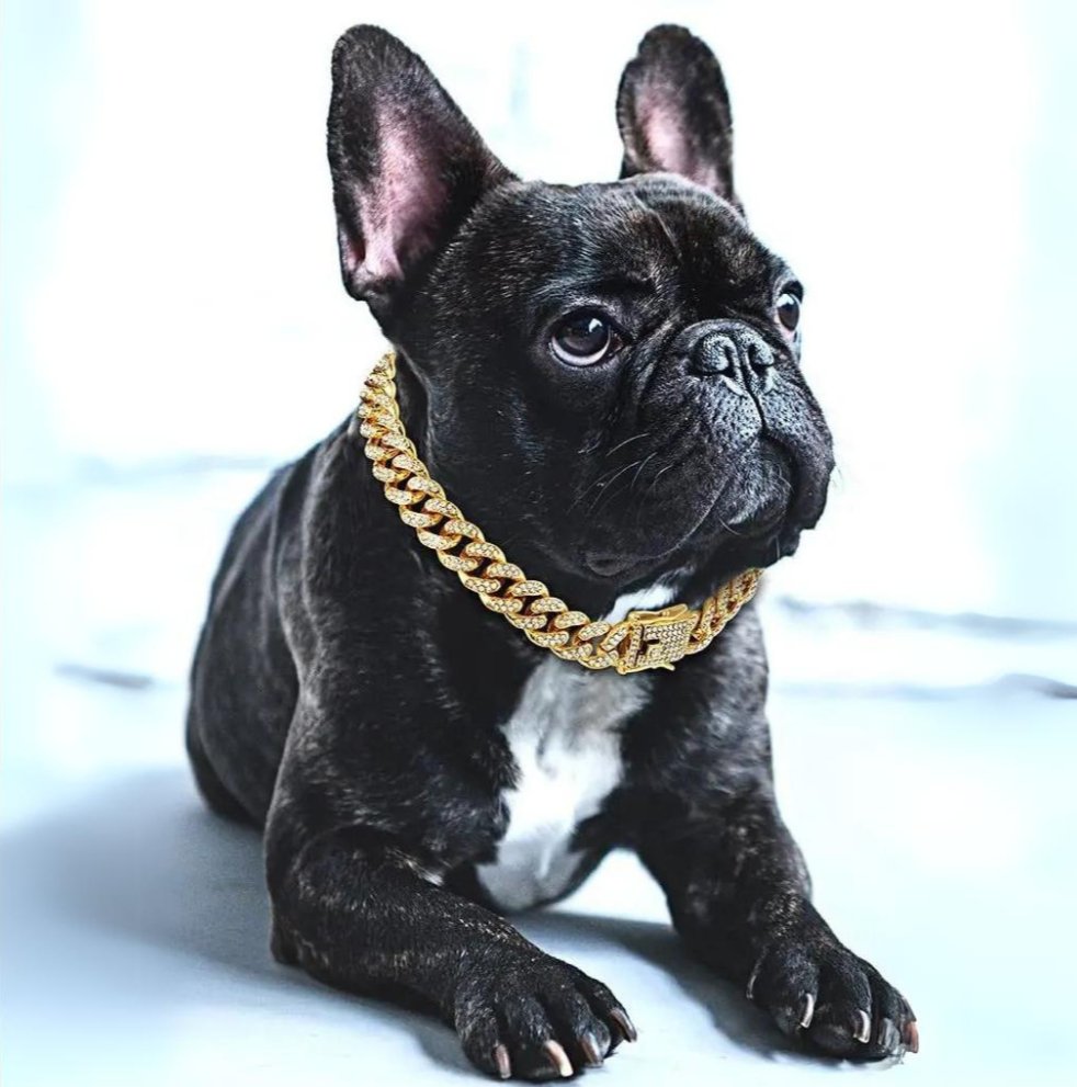 Goldenes Kettenhalsband für Hunde