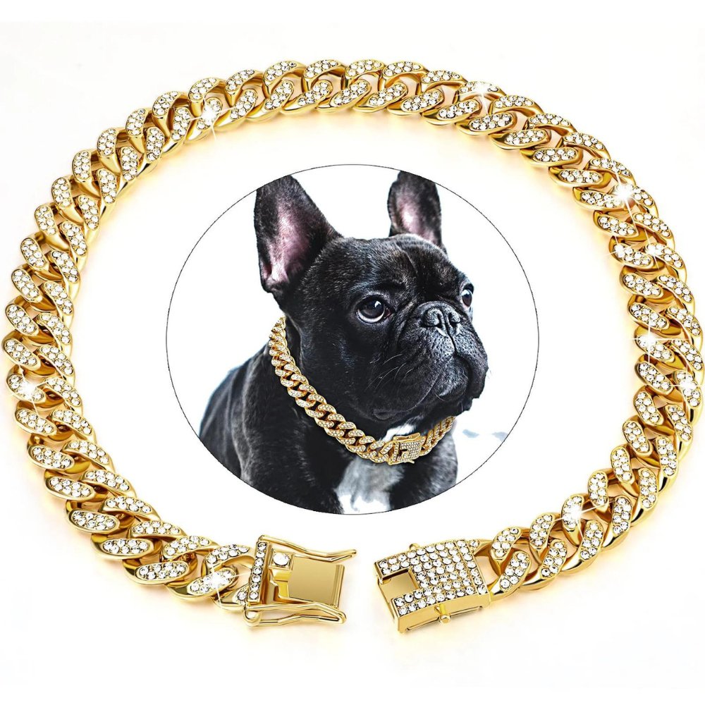 Goldenes Kettenhalsband für Hunde