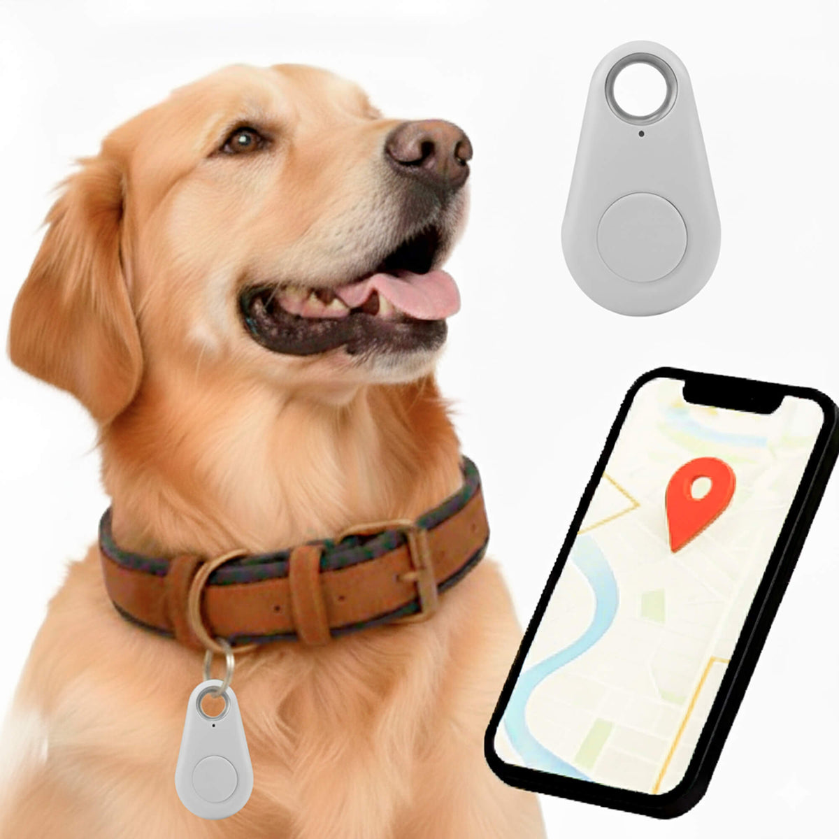 GPS-Hunde-Tracker – wasserdicht, Echtzeit-Ortung und Sicherheitszonen-Alarme für Outdoor-Abenteuer