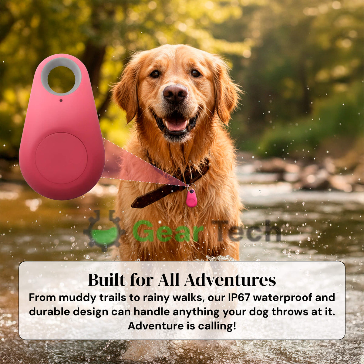 GPS-Hunde-Tracker – wasserdicht, Echtzeit-Ortung und Sicherheitszonen-Alarme für Outdoor-Abenteuer