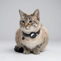 GPS-Katzenhalsband mit Echtzeit-Ortung und Sicherheitsfunktionen