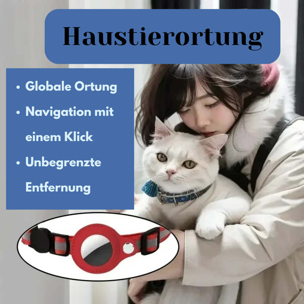 GPS-Tracker-Halsband für Hunde und Katzen mit Echtzeitortung