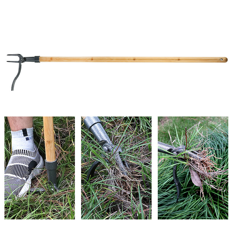 Unkrautjäter - 4-Krallen-Kopf | Robust | Gartenwerkzeug