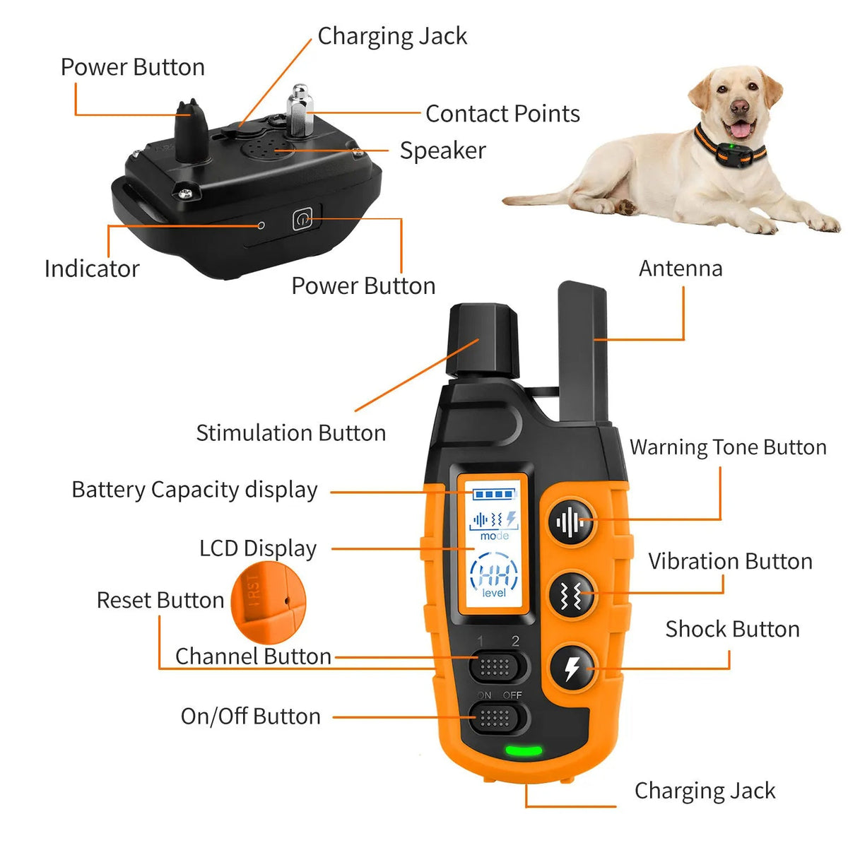 Hunde-Trainingshalsband mit grosser Reichweite – Fernbedienung bis 1000 m
