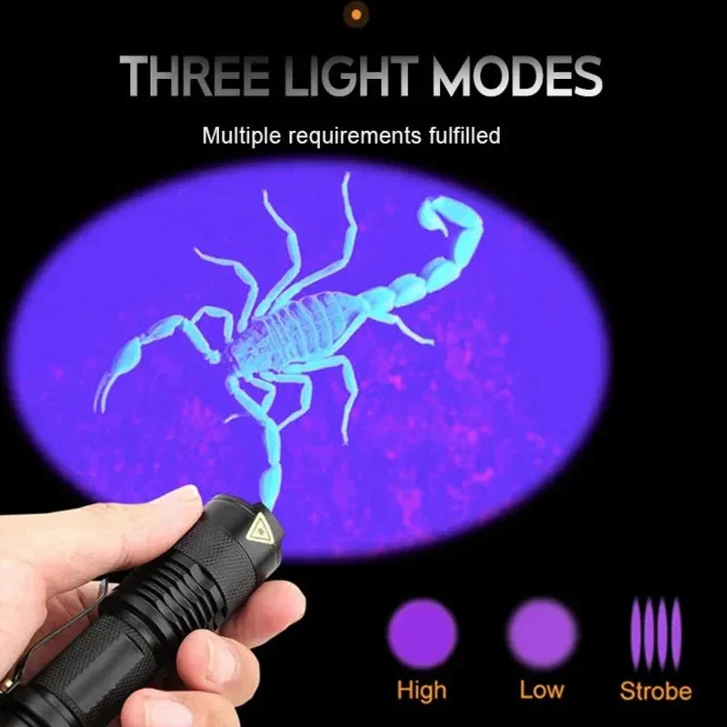 Inspection Pro tragbare LED-UV-Lampe – 395 nm kompakter Fleckendetektor