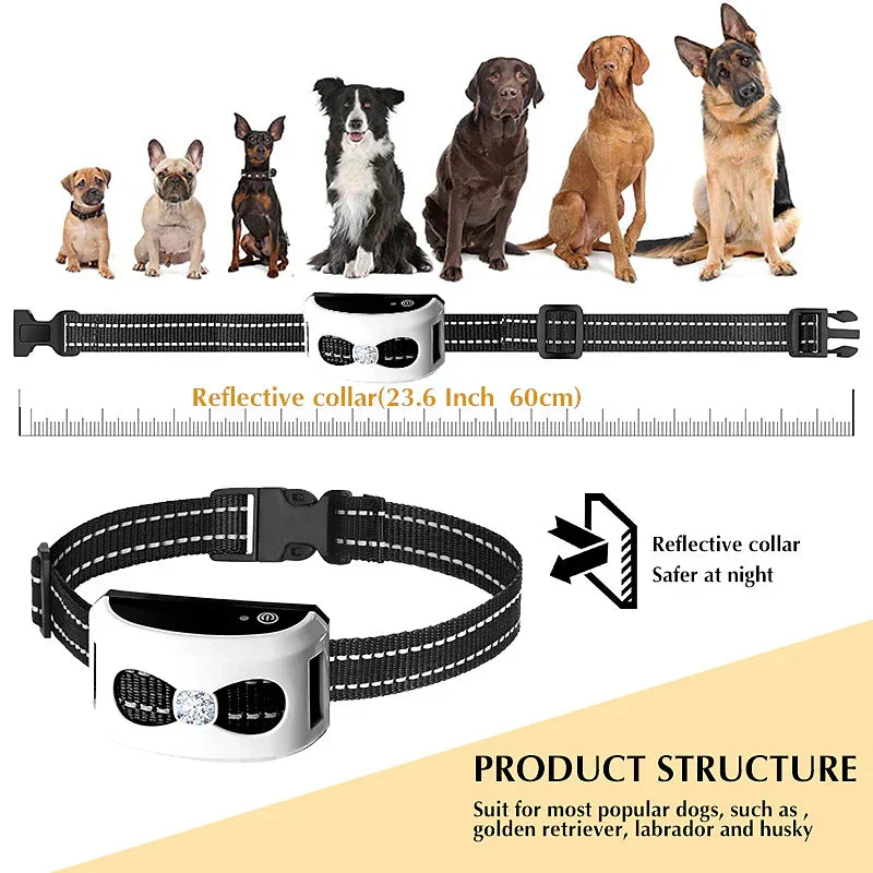 Kabelloser Hundezaun & Trainingshalsband 2-in-1 – wasserdicht & wiederaufladbar