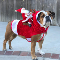 Weihnachts-Hundekleidung