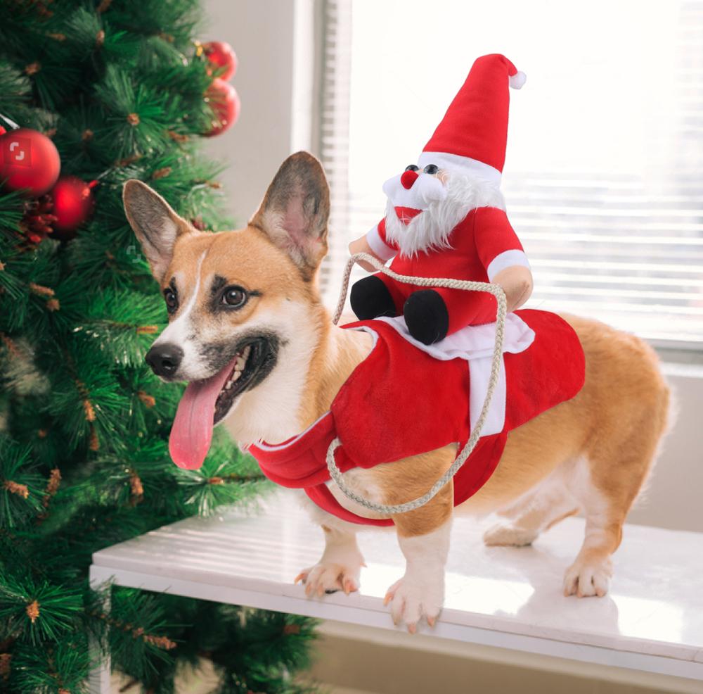 Weihnachts-Hundekleidung