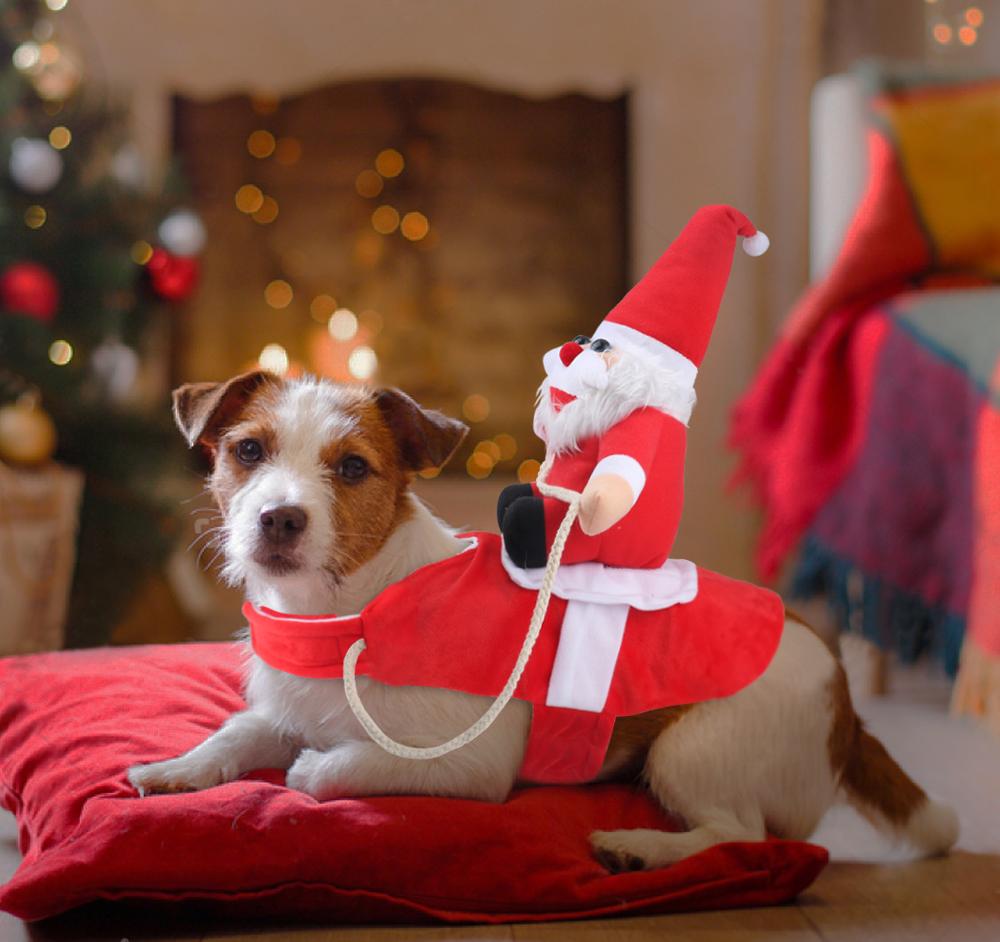 Weihnachts-Hundekleidung