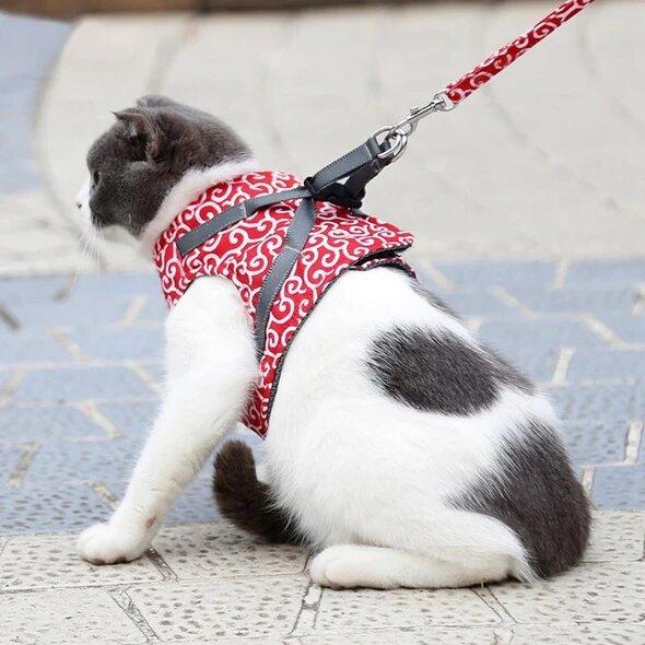Ausbruchsicheres Katzengeschirr
