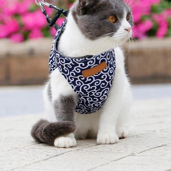Ausbruchsicheres Katzengeschirr