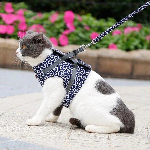 Ausbruchsicheres Katzengeschirr