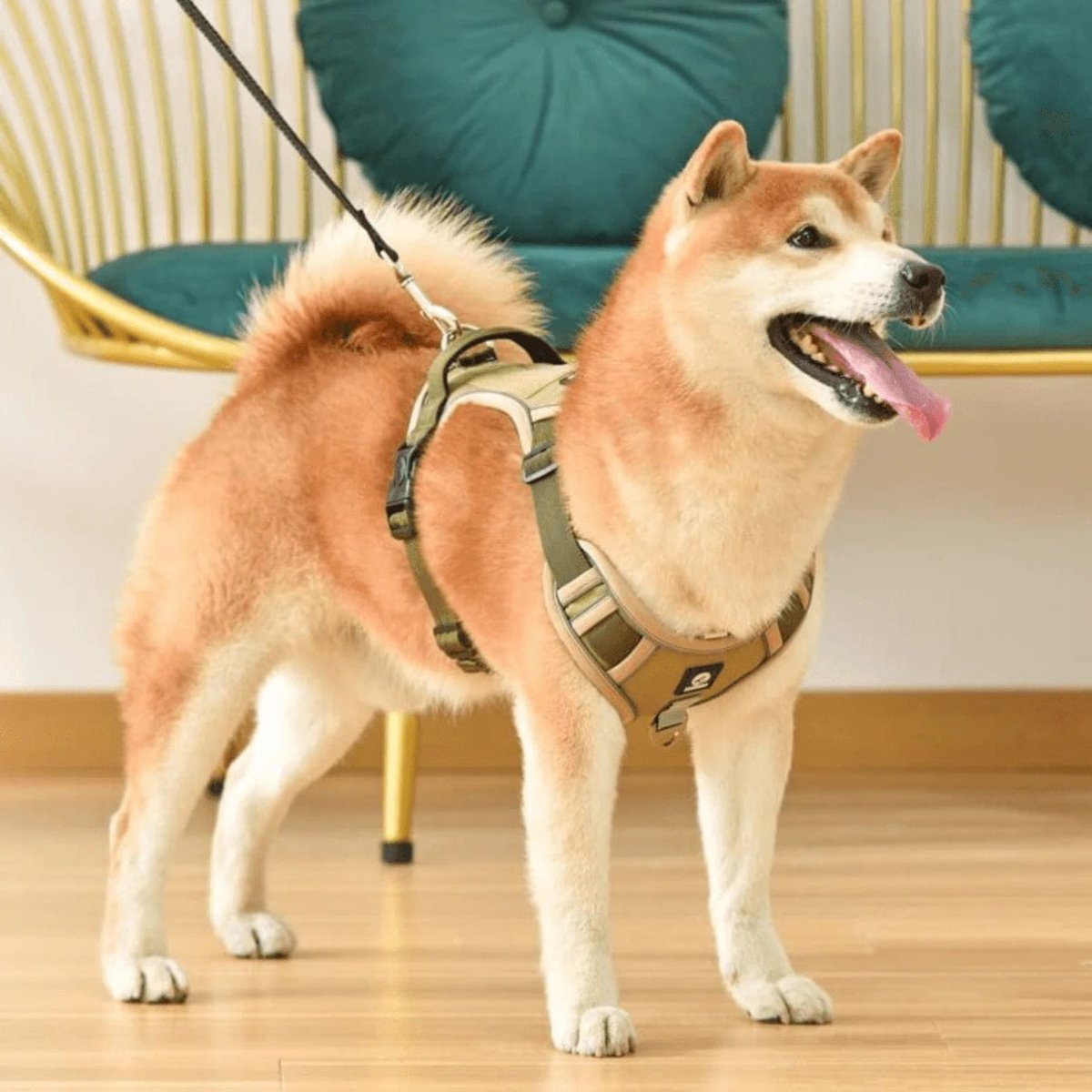 Hochwertiges Anti-Zug-Hundegeschirr
