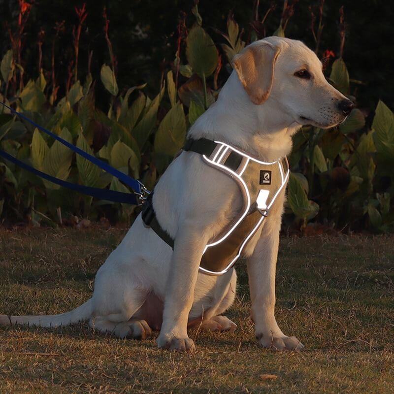 Hochwertiges Anti-Zug-Hundegeschirr