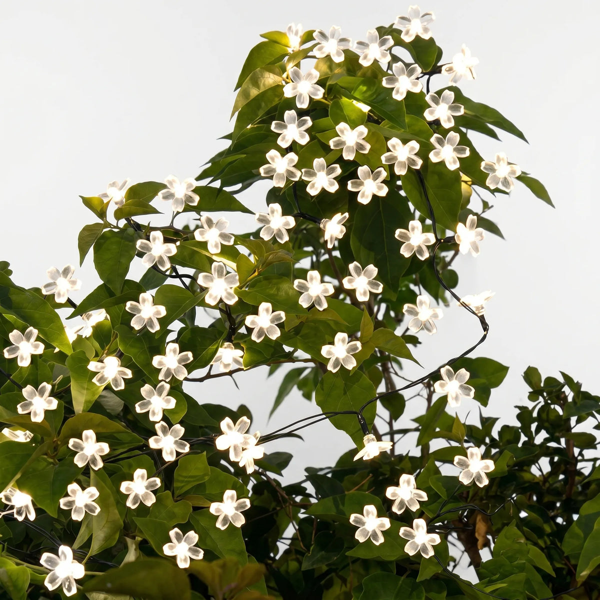 Solar-LED-Blumen-Lichterkette für den Garten für aussen