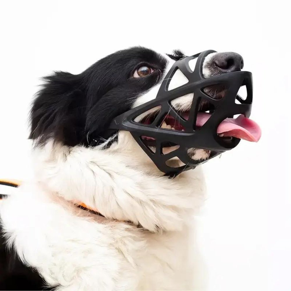 Hundemaulkorb