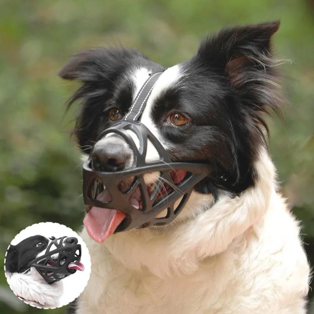 Hundemaulkorb