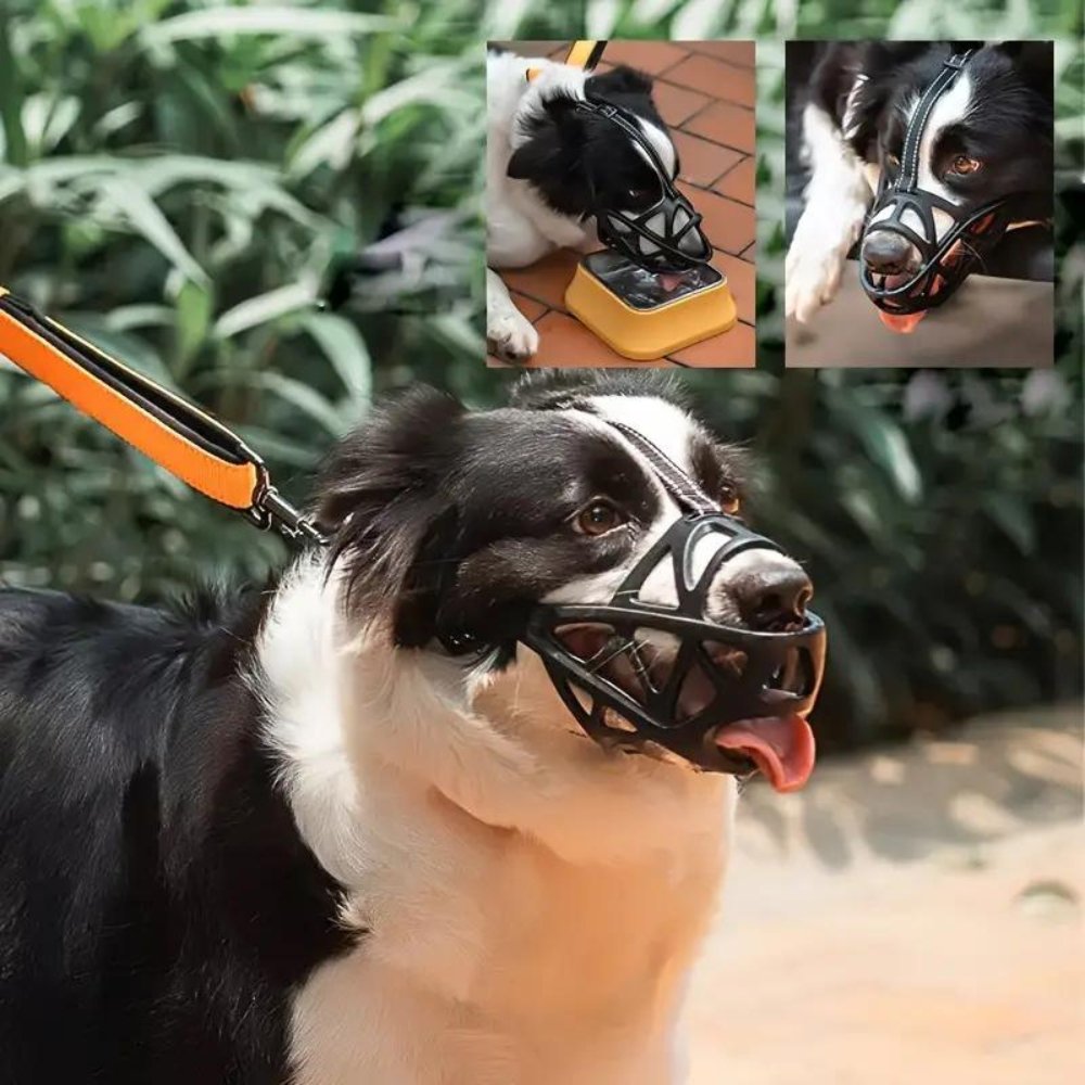 Hundemaulkorb