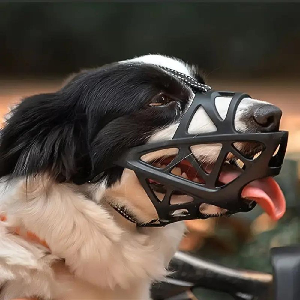 Hundemaulkorb