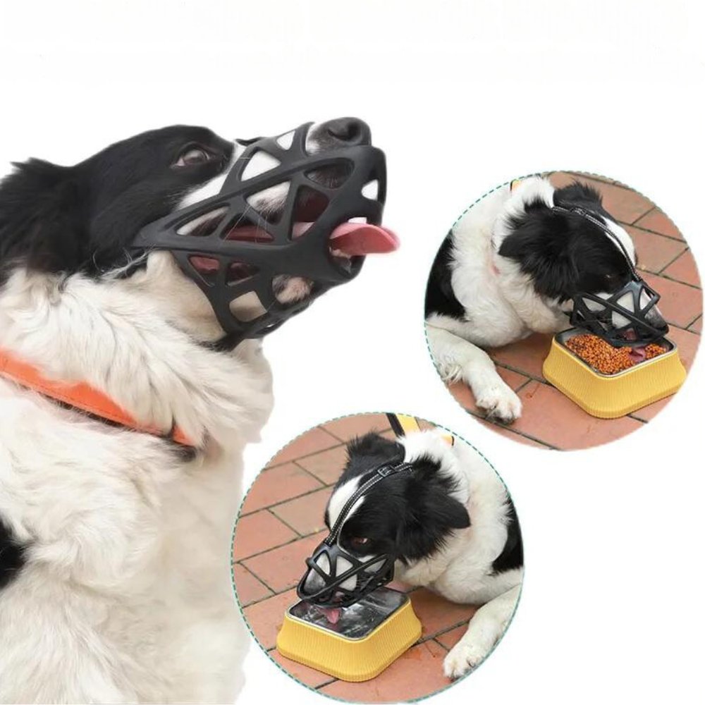 Hundemaulkorb