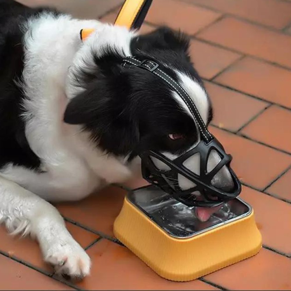 Hundemaulkorb