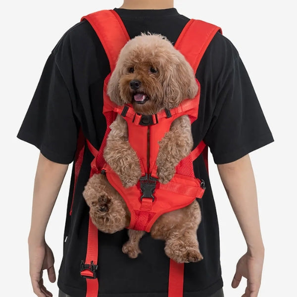 Hunderucksack zum Wandern und für Outdoor-Abenteuer