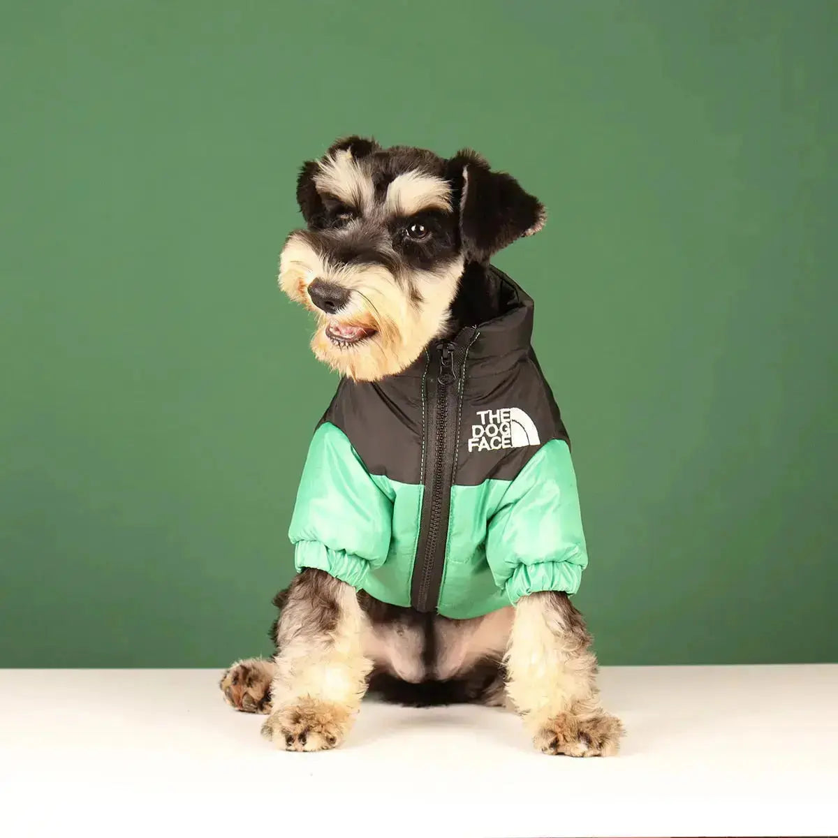 Hundemantel für den Winter | Wärmeisolierend und winddicht