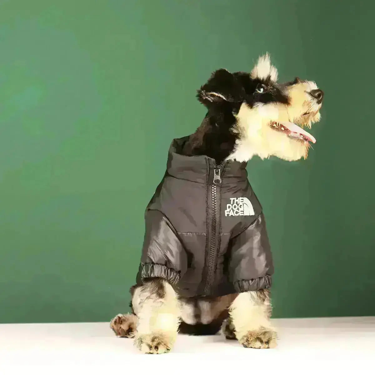 Hundemantel für den Winter | Wärmeisolierend und winddicht