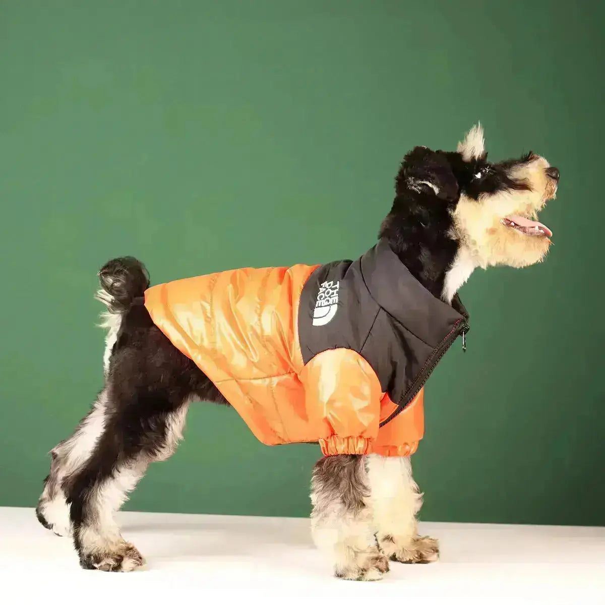 Hundemantel für den Winter | Wärmeisolierend und winddicht